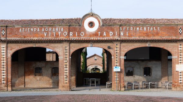 Orange Wine, il nuovo colore del bianco Corte La Faggiola